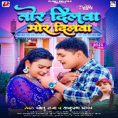 Tor Dilwa Mor Dilwa (Golu Raja, Anupama Yadav)