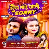 Dil Tode Khatir Sorry (Ranjeet Singh, Shivani Singh)