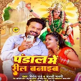 Pandal Me Reel Banaib (Ritesh Pandey, Anjali Bharati)