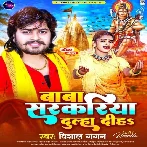 Baba Sarakariya Dulha Diha (Vishal Gagan)