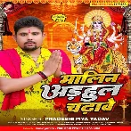 Malin Adhaul Chadhawe (Pradeshi Piya Yadav)