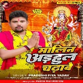 Malin Adhaul Chadhawe (Pradeshi Piya Yadav)