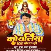 Koyaliya Dhire Bola Ho (Pawan Singh)