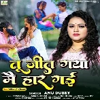 Tu Jeet Gaya Main Haar Gayi (Anu Dubey)