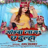 Godwa Laga Ae Dulha (Anu Dubey)