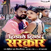 Hilawale Delhi Sarkar (Niraj Nirala) 2024 Mp3 Song