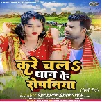 Kare Chala Dhaan Ke Ropaniya (Chandan Chanchal) 2024 Mp3 Song