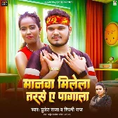 Manwa Milela Tarse Ae Pagala (Bullet Raja, Shilpi Raj) 2024 Mp3 Song