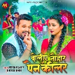 Boliye Tohar Pain Killer (Ritesh Pandey, Shivani Singh) 2024 Mp3 Song