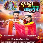 Dupatta Gerua Colour (Ritesh Pandey, Priyanka Singh)