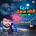 Dil Dehab Tohe Achara Me (Bikki Babua Singh)