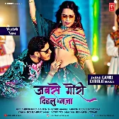 Jabse Gori Dihlu Maza (Ankush Raja , Shilpi Raj)